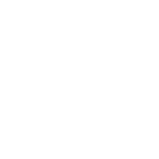 point icon